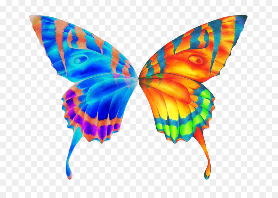 Butterfly Wing Clip Art - Schmetterling