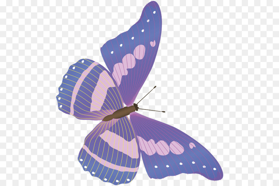 Farfalla Nymphalidae Clip art - farfalla