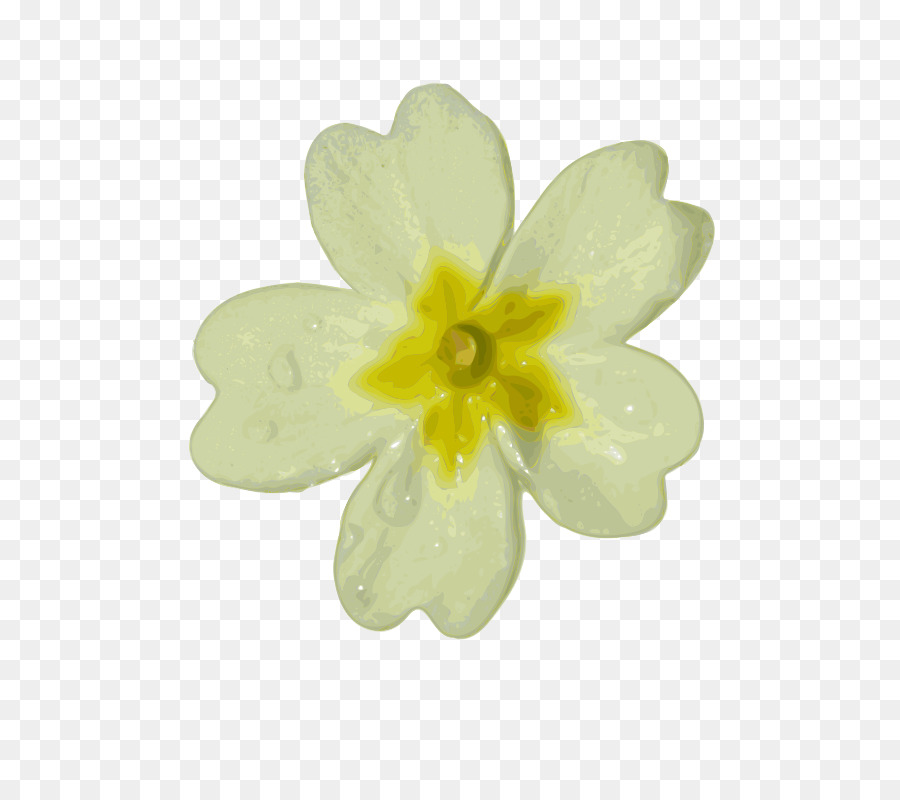Weiße Blume clipart - Blume