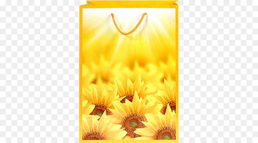 Common sunflower-Desktop Wallpaper, High-definition-TV-Bild-Datei-Formate - andere