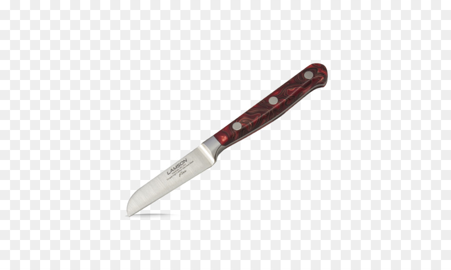 Steak-Messer Ausbeinmesser Küchenmesser Victorinox - Messer