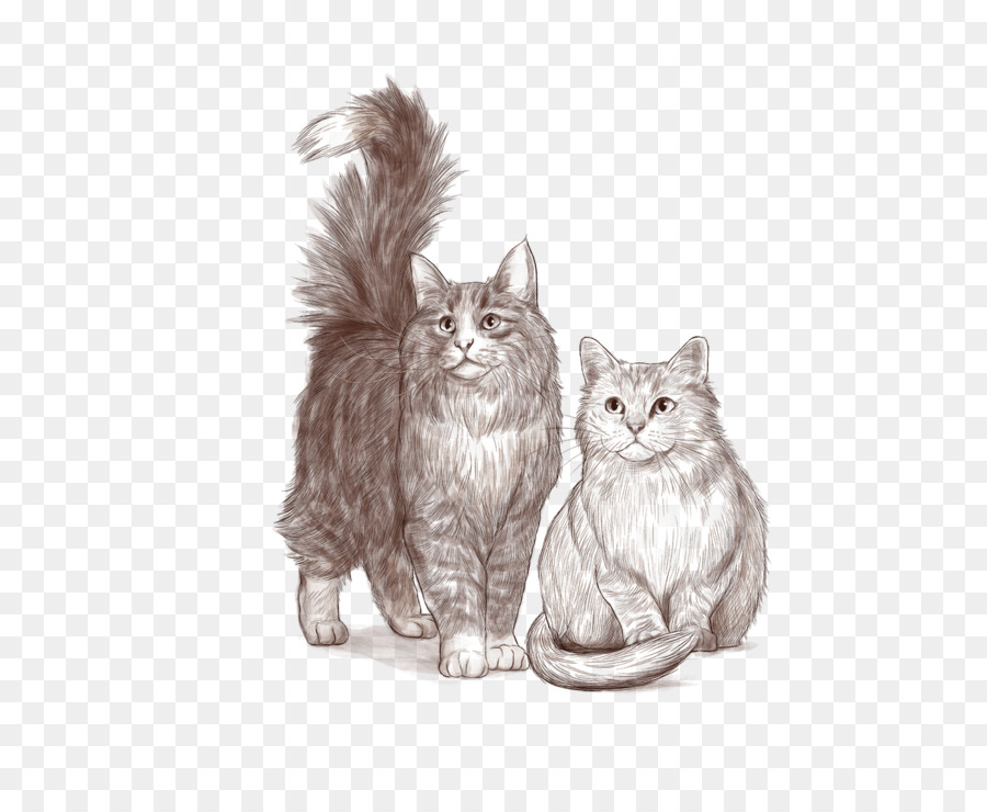 Kätzchen Inländischen Kurzhaar-Katze, Tabby cat Katzenfutter Schnurrhaare - Kätzchen