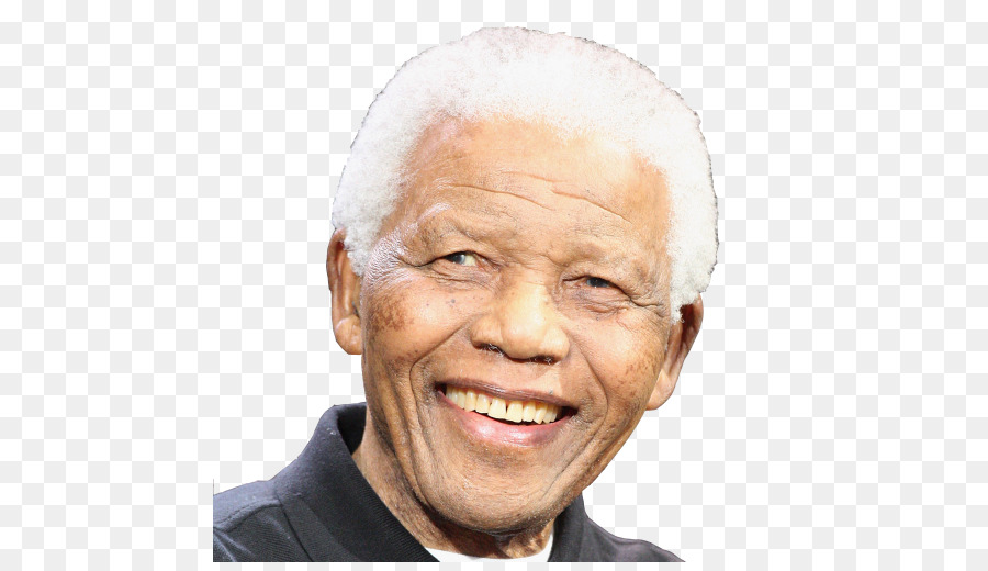 Nelson Mandela Südafrika-Die Kunst der Versöhnung Long Walk to Freedom Apartheid - Nelson Mandela