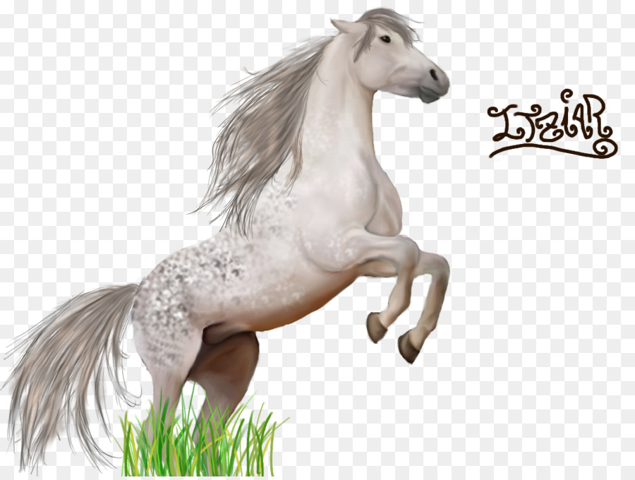 Ngựa Mustang Con Ngựa Chạy Mau, Ngựa - mustang