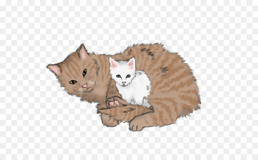 Kätzchen Inländischen Kurzhaar-Katze, Krieger Speckletail - Kätzchen