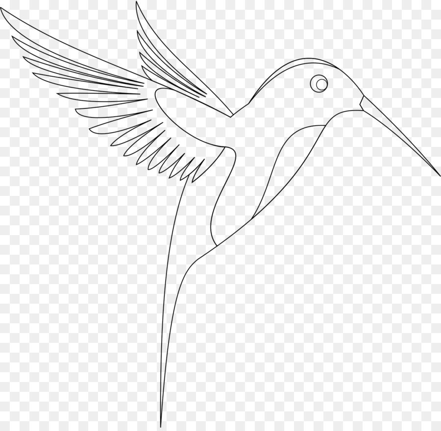 Hummingbird Zeichnung, Skizze - Vogel
