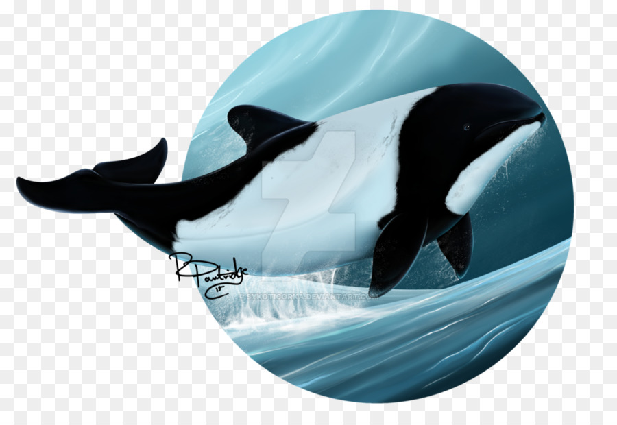 Commerson'dolphin Arte balena Killer Cetacea - Delfino