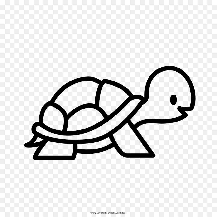 Schildkröte-Malbuch-Zeichnen-Clip-art - Schildkröte