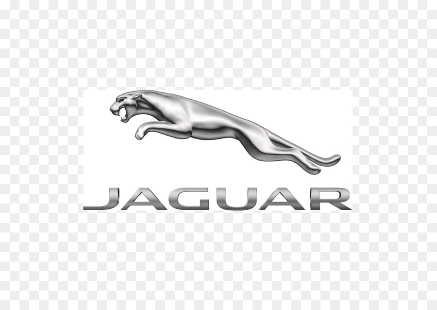 Jaguar Jaguar XJ Jaguar XK - giaguaro