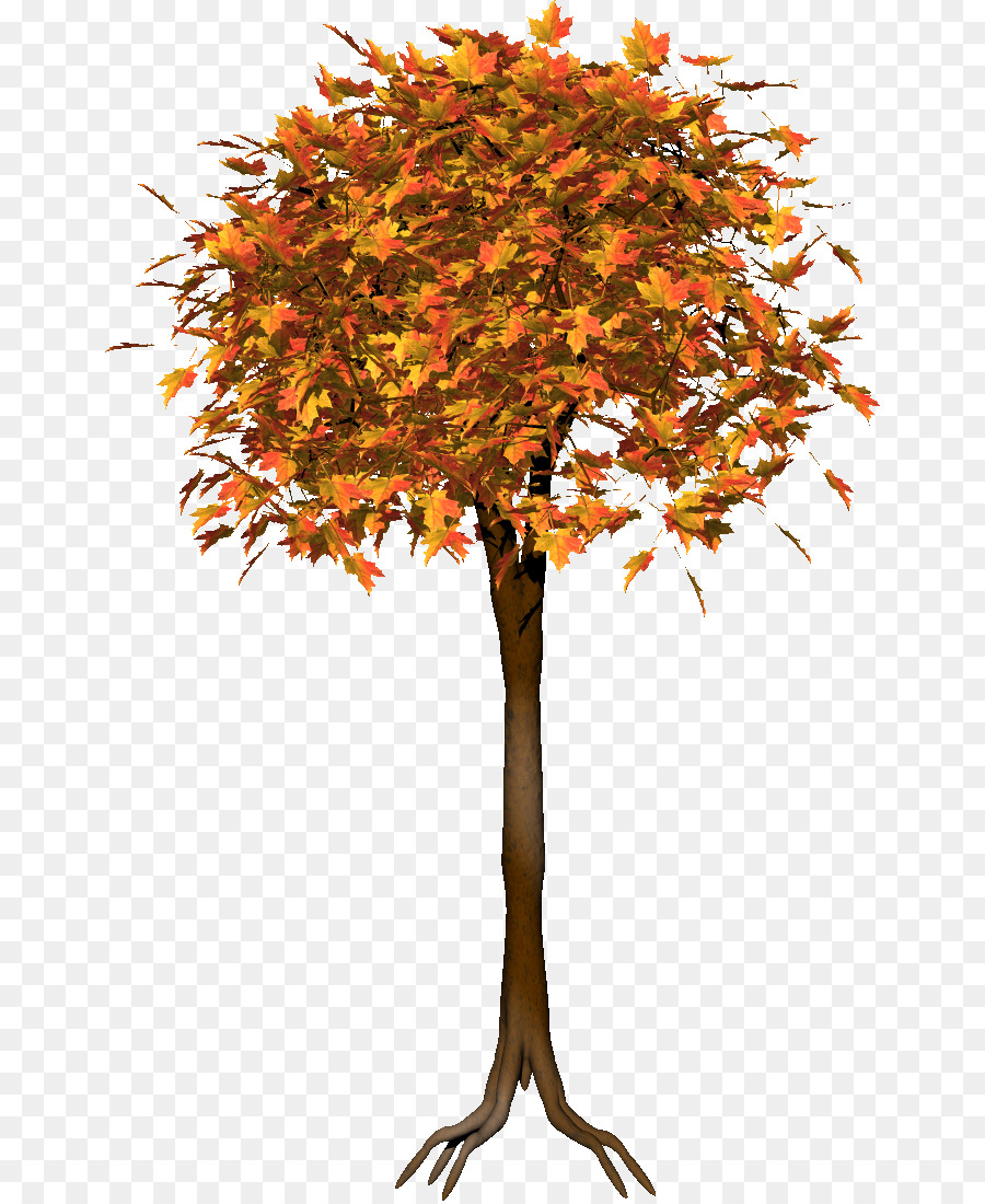 Zweig, Baum, Strauch Herbst - Baum