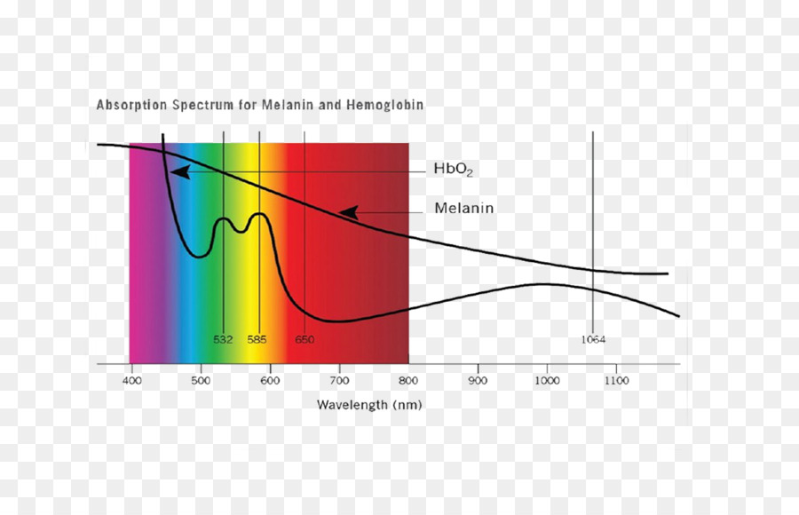 Licht, Absorption Von Melanin, Hämoglobin-Spektrum - Licht