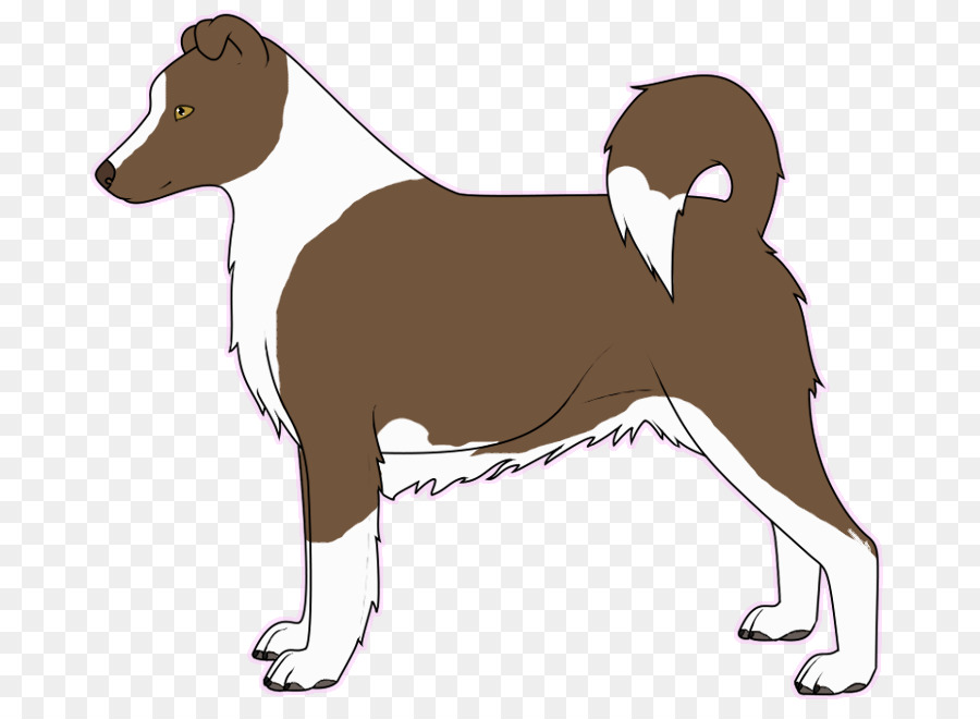 Hund der Rasse italienisches Windspiel Welpen Schnauze - Welpen