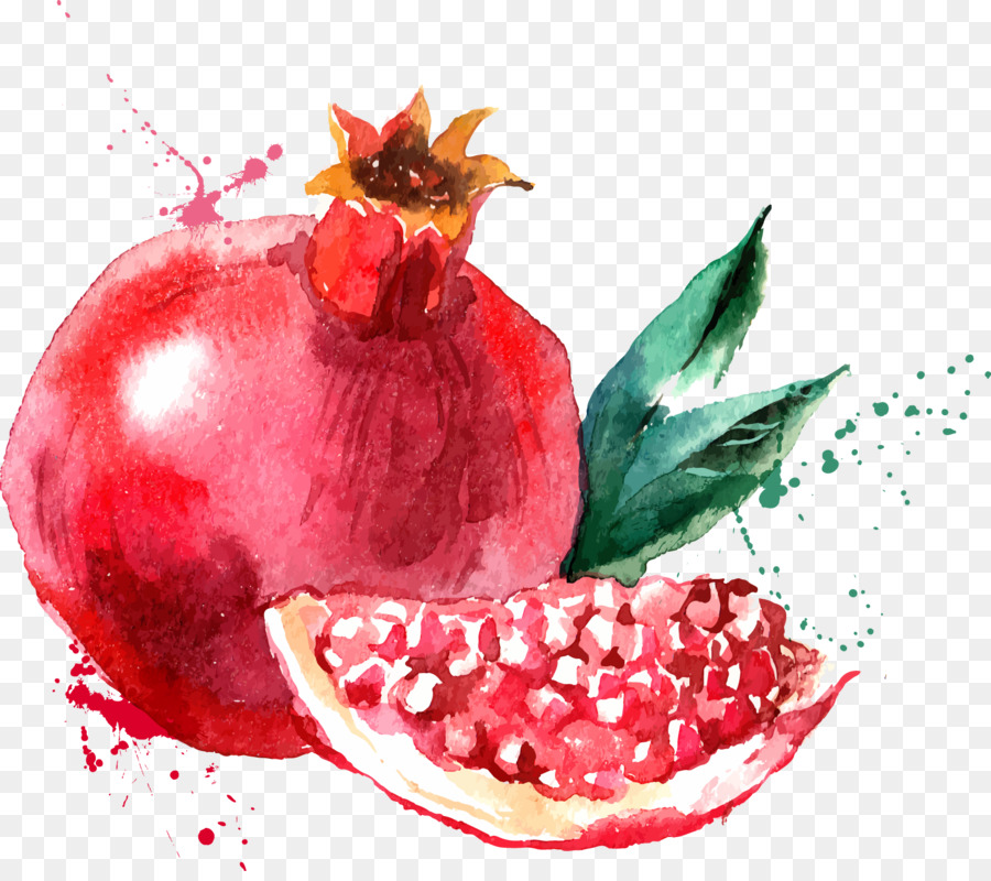 Aquarell-Malerei Obst-Zeichnung - Malerei