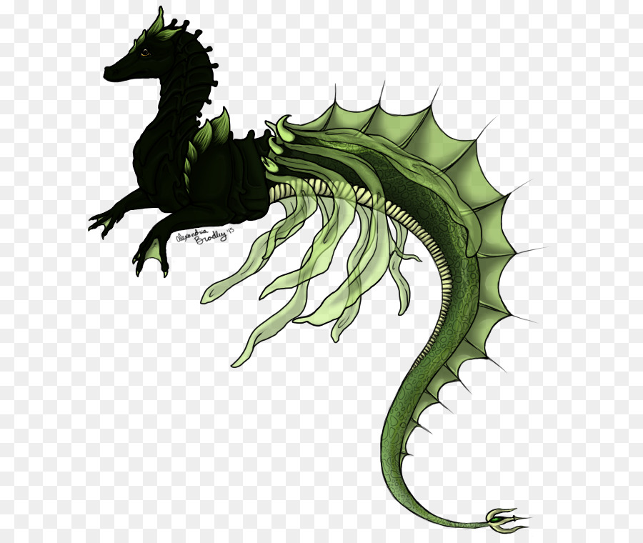 Seahorse, Leaf Dragon - Seahorse