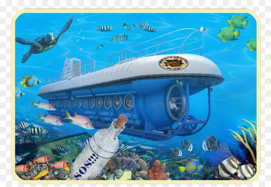 Atlantis Submarines Barbados Inc. Aruba Waikiki Cozumel - Hotel