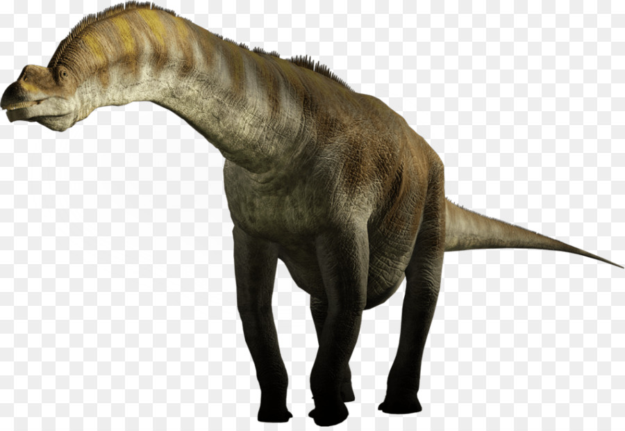 Argentinosaurus Giraffatitan Sauropoda Seismosaurus - Dinosauro