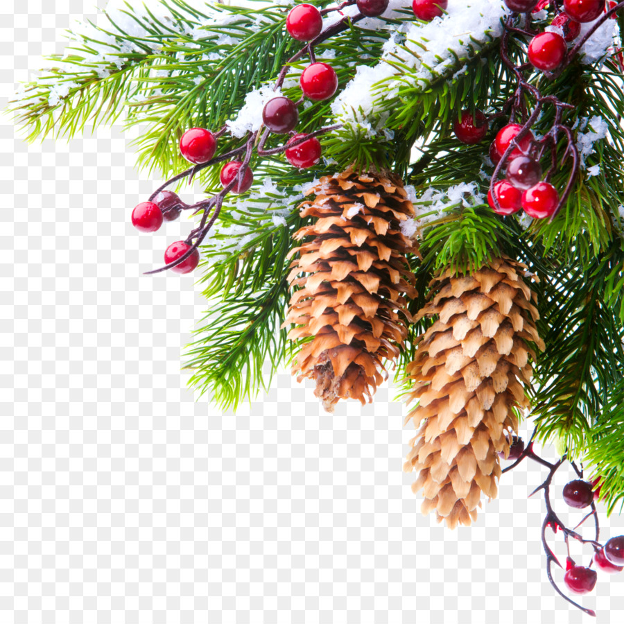 Gennaio Kiev 0 Vacanze Di Capodanno - Creative rami di albero di Natale