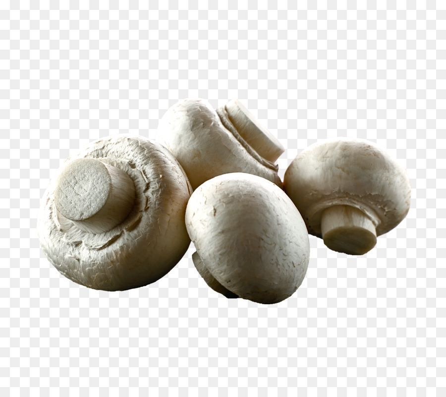 Gemeinsame Pilz, Essbarer Pilz, Shiitake, kräuterseitling - Pilz