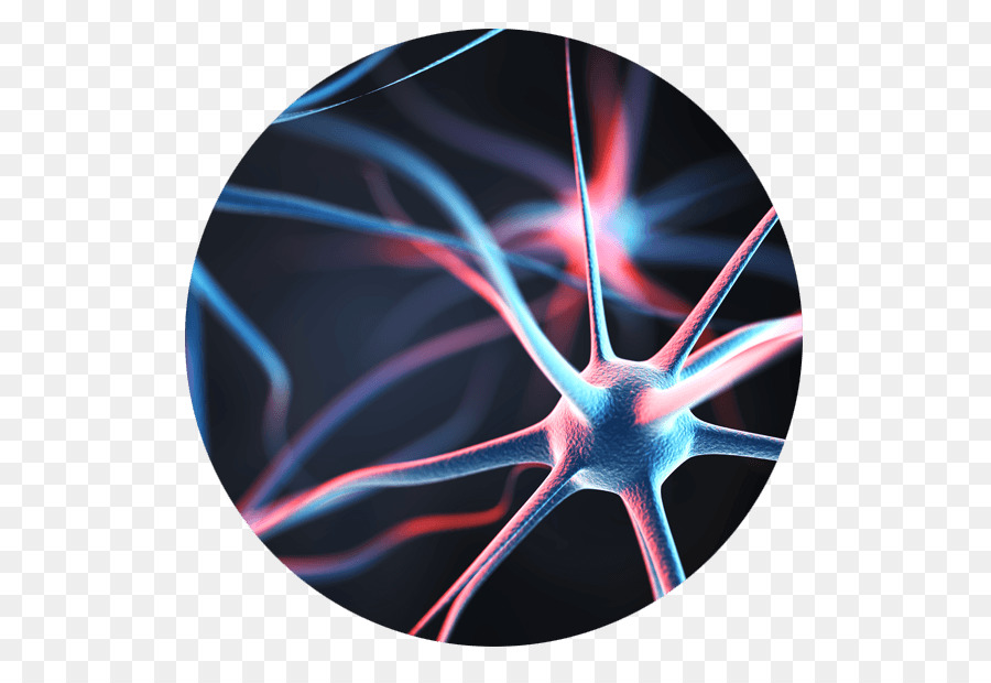 Neuron Behavioural Economics Agy Gehirn Nervensystem - Gehirn