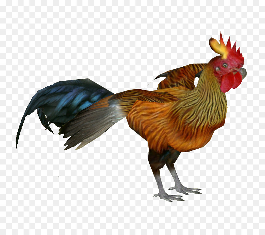 Rooster Sri Lanka gà rừng Gà - gà