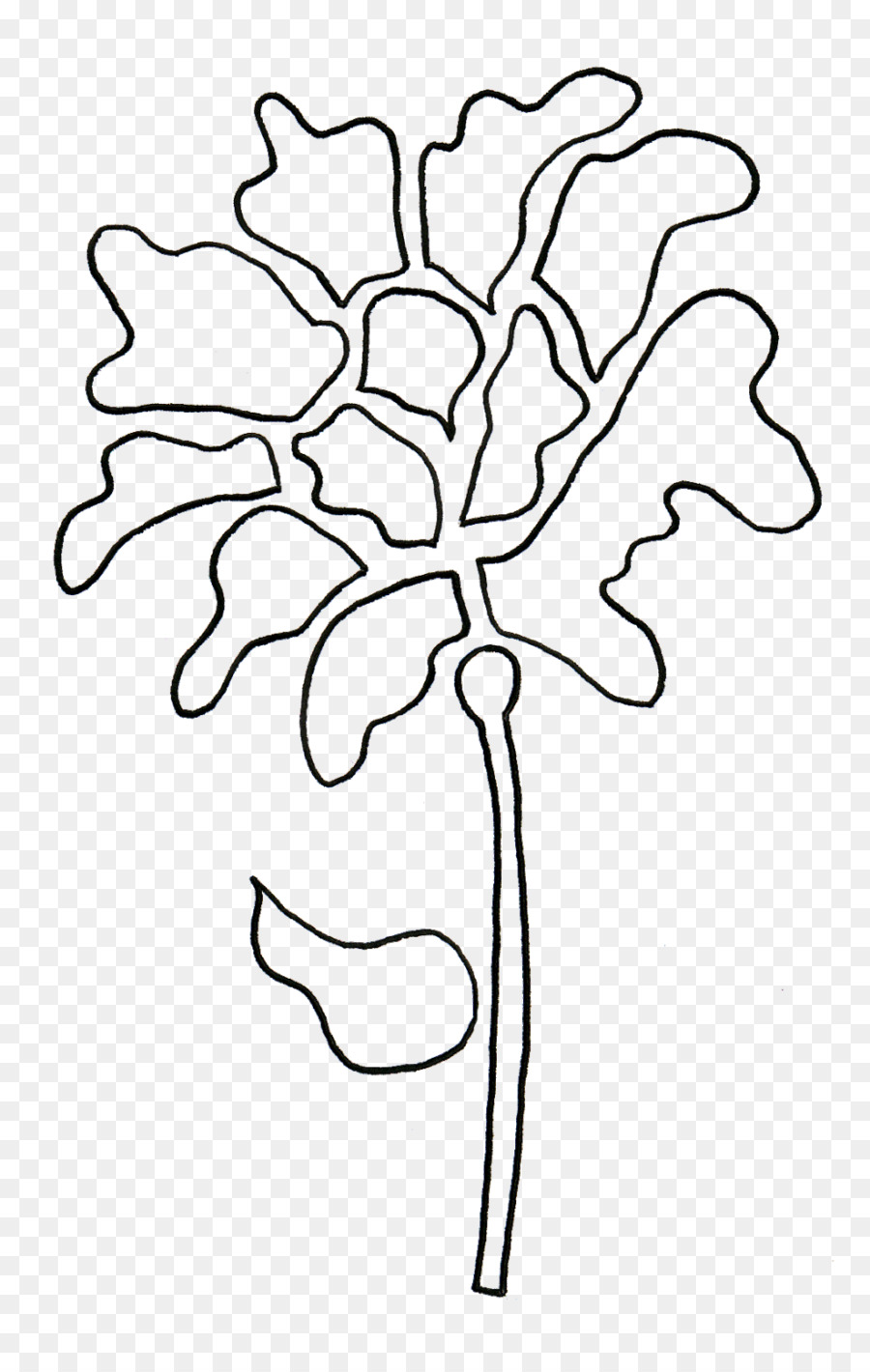 Floral design Line art Zeichnung Schnittblumen - andere