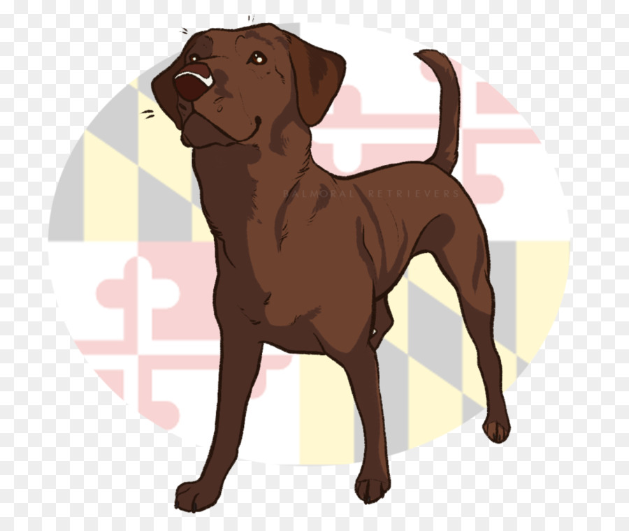 Cartoon Dog png download - 979*816 - Free Transparent Labrador Retriever  png Download. - CleanPNG / KissPNG