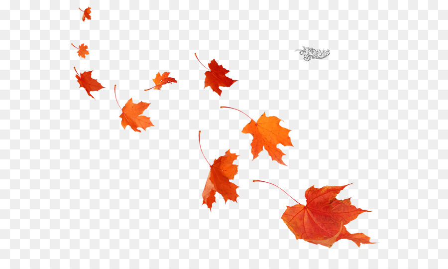Maple leaf Poster Herbst Wandbild - Blatt