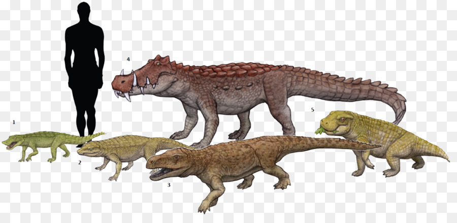Tyrannosaurus Simosuchus Anatosuchus Notosuchus Kaprosuchus - Dinosaurier