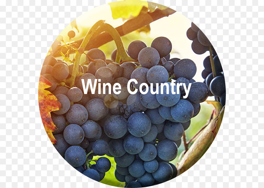 Sonoma Wine Country Skyline Tour del Vino e dei Trasporti Comune di Uve del Vitigno - vino