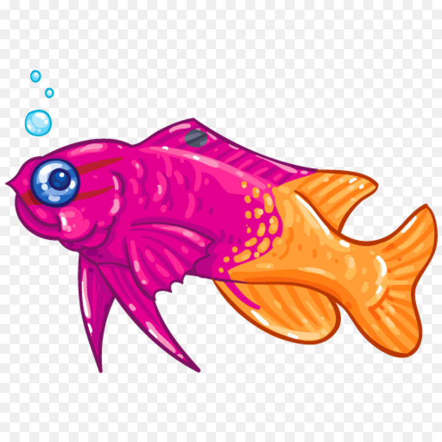Pesce Royal gramma di biologia Marina Clip art - pesce