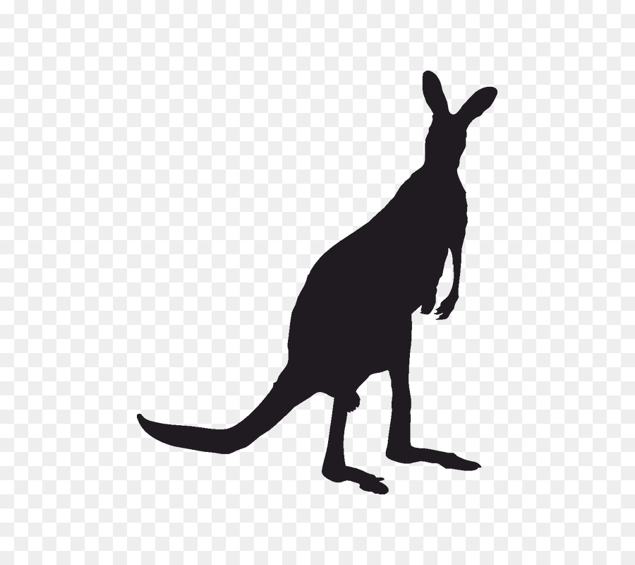 Roter Känguru Koala-Schattenbild Macropodidae - Känguru