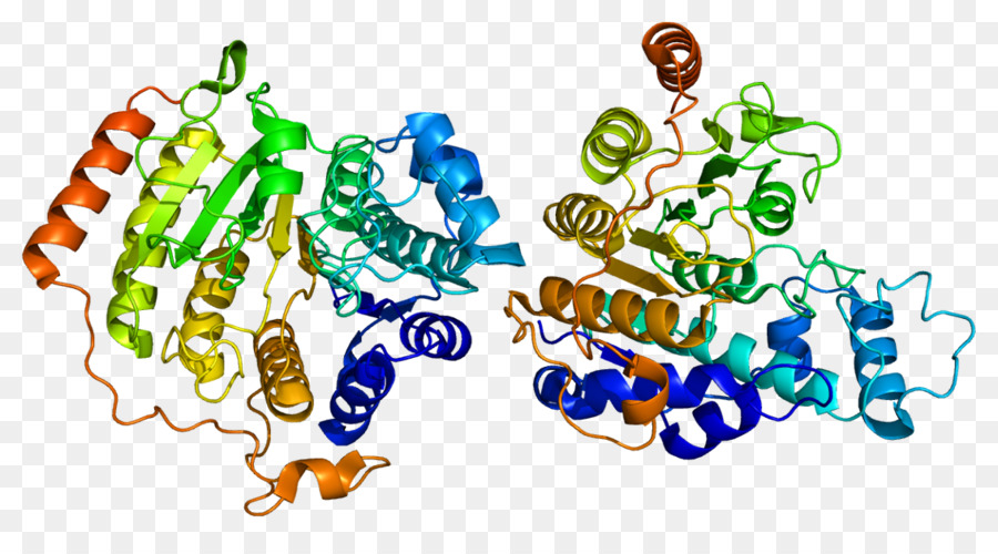 Histon deacetylase inhibitor, der HDAC8 Histon code - andere