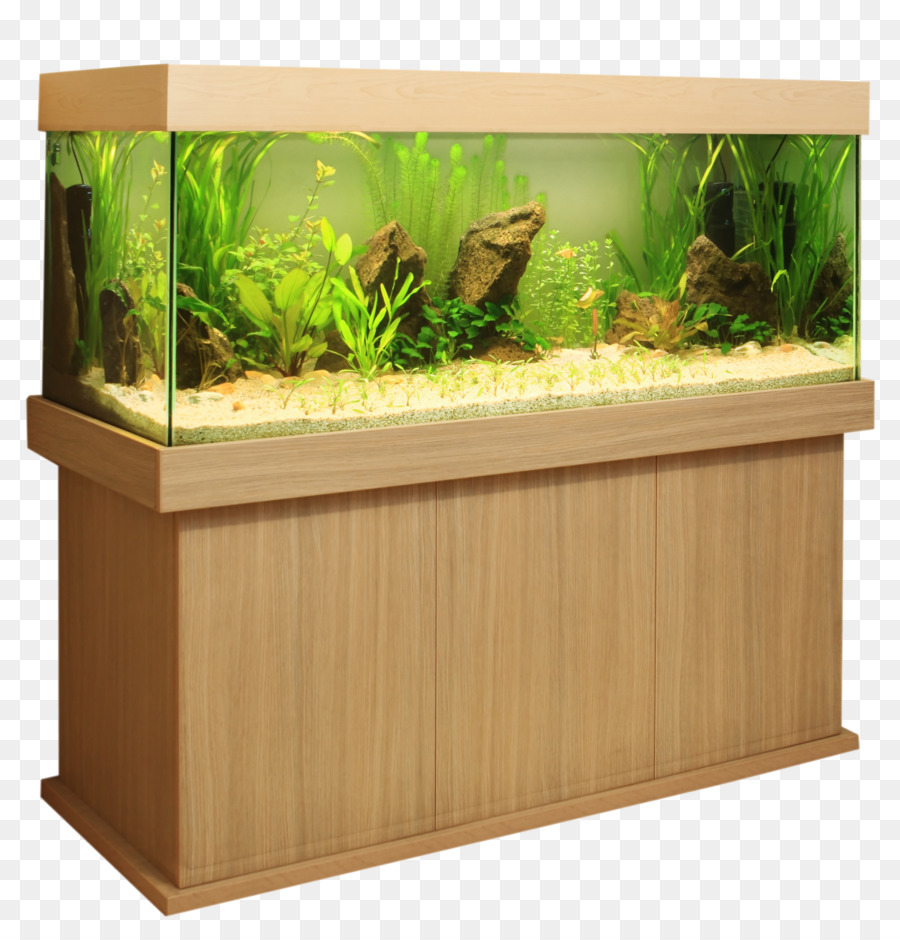 Riff-aquarium-Fische Aquascaping Haus - Fisch