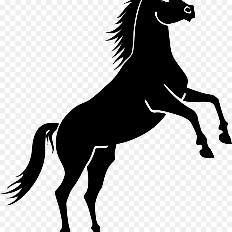 Cavallo Equestre Nero Clip art - cavallo