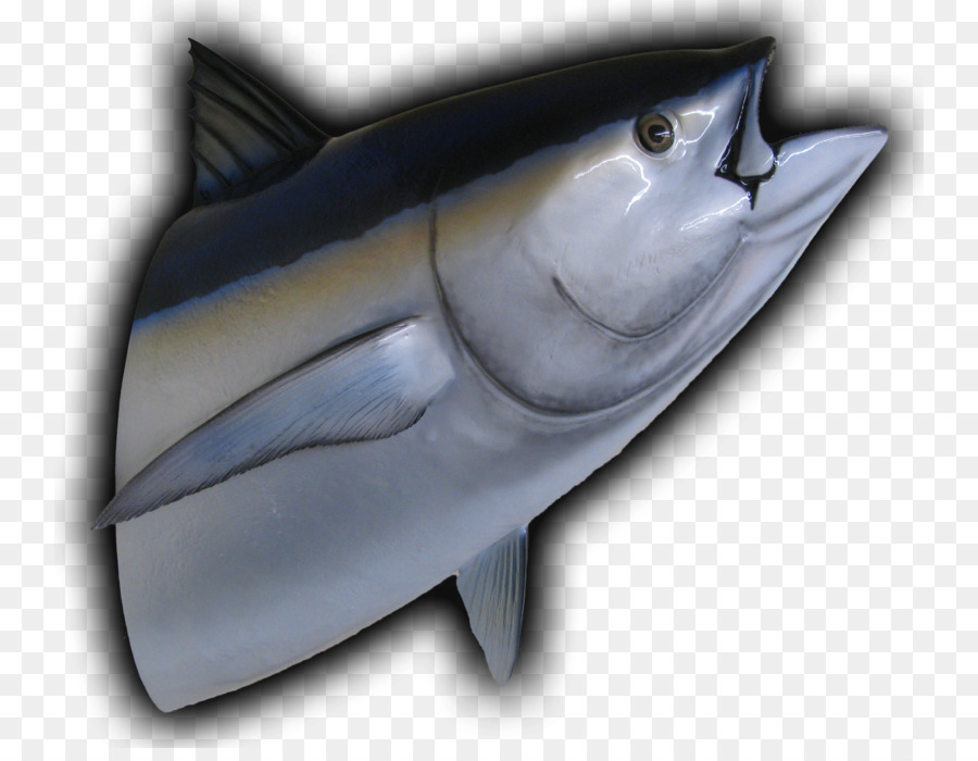 Squalo tigre del tonno rosso tonno albacora tonno panino di pesce - pesce