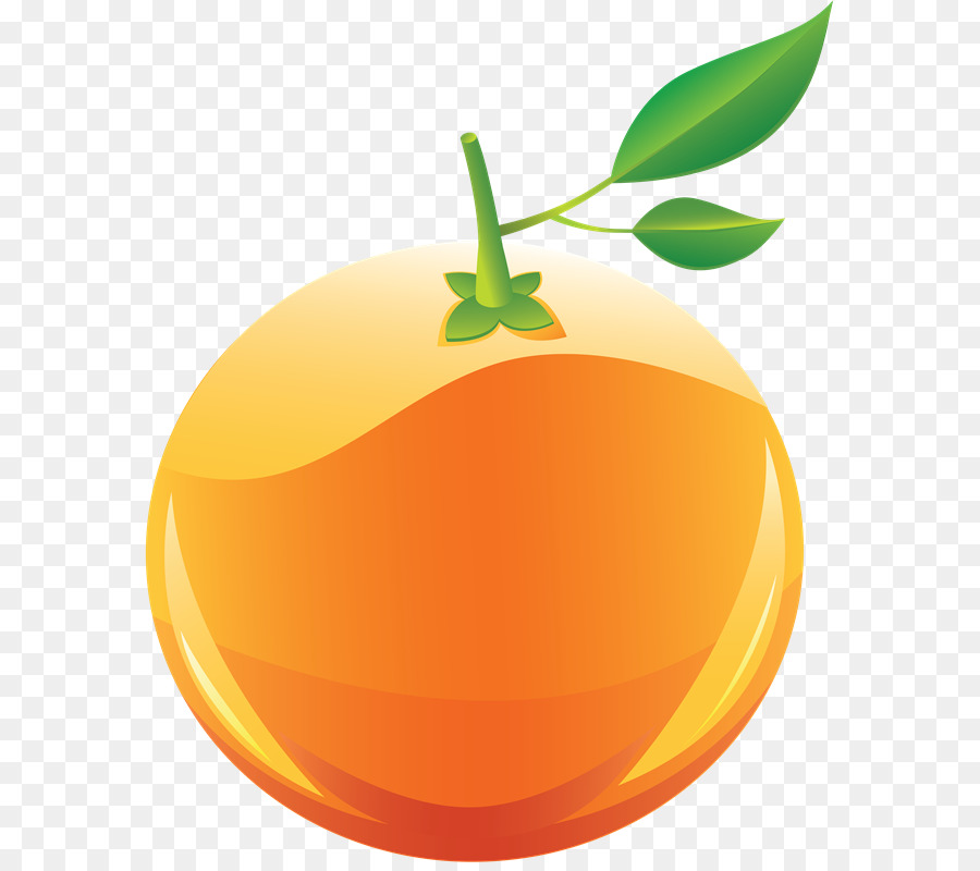 Orange Fruit clipart - Orange
