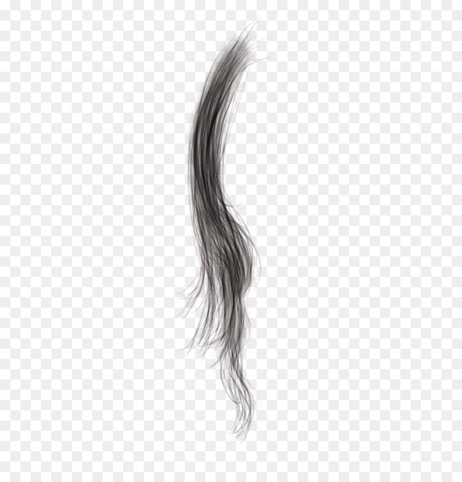 Capelli neri Capelli colorazione capelli Castani, capelli Lunghi - capelli