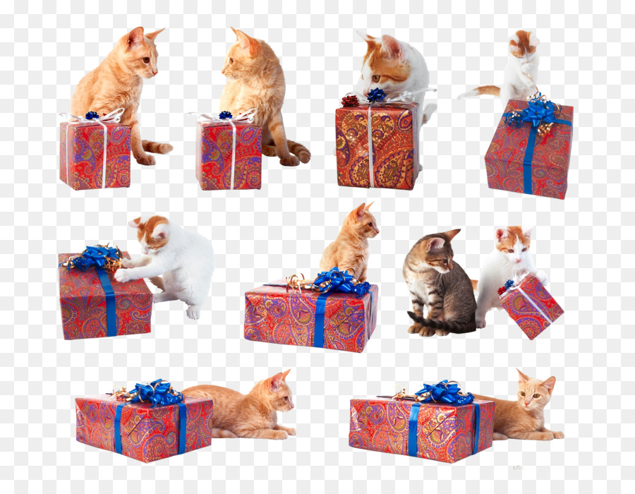 Christmas Gift Box Png Download 800 688 Free Transparent Cat Png Download Cleanpng Kisspng