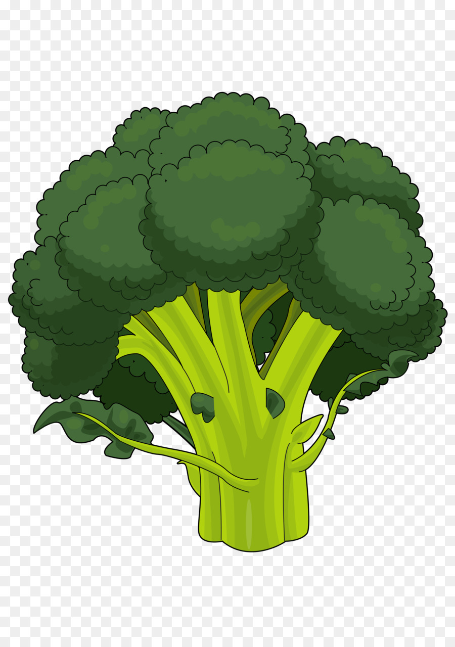 Broccoli Disegno PDF Cavolfiore - broccoli