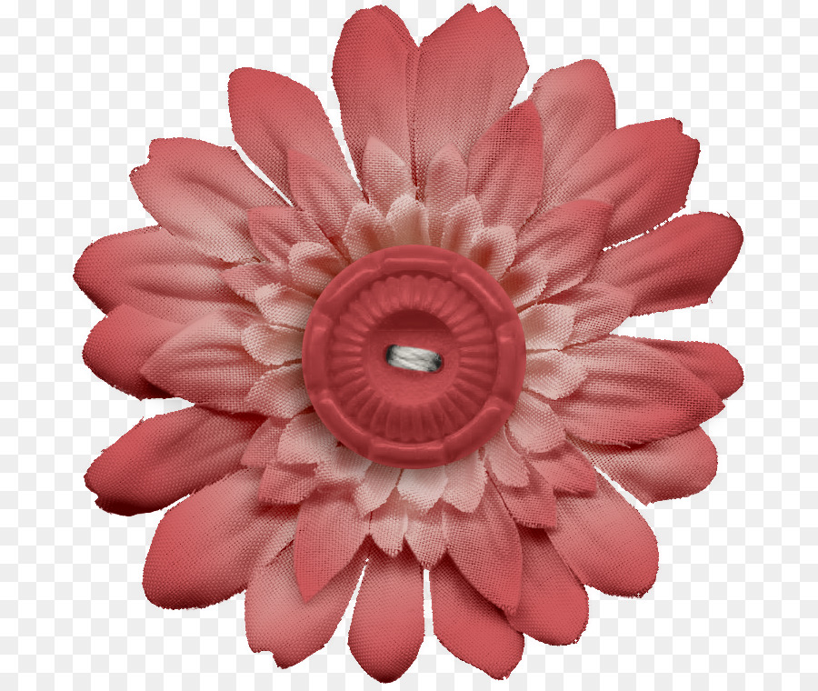 Hoa Vở dấu cao Su Transvaal daisy - hoa