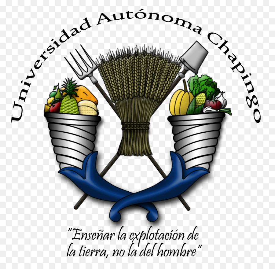 Chapingo Università Autonoma, Dipartimento di Agraria Parassitologia Agricoltura Universidad Autónoma Chapingo Agronomia - passare il tempo