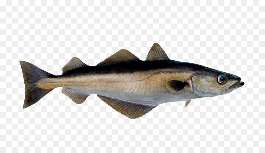 Der Sémillon Seelachs Pollock Fisch, Meeresfrüchte - Fluss Fische