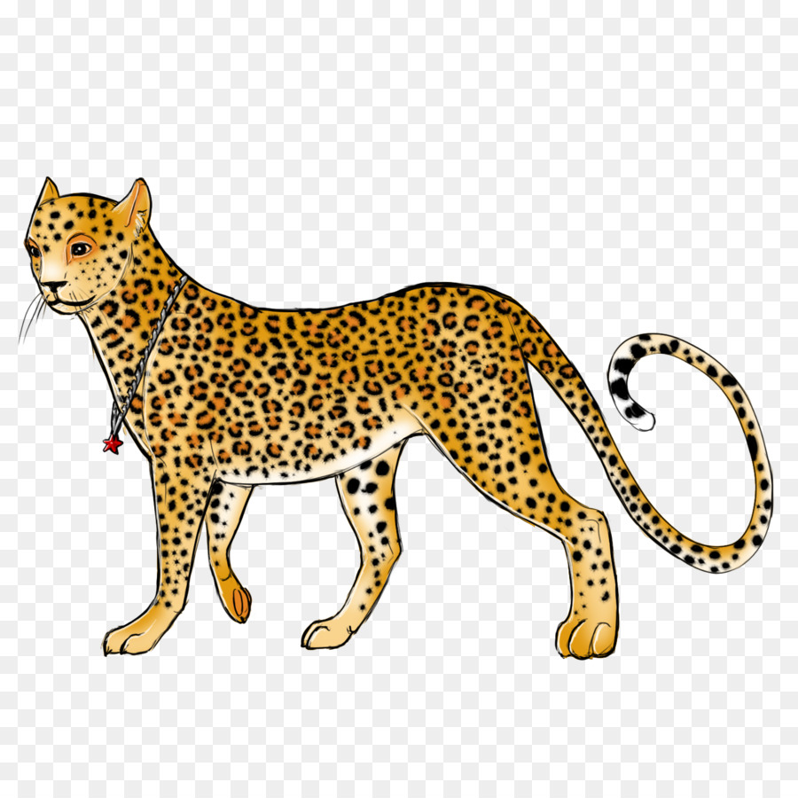Schnurrhaare Leopard Gepard Jaguar Katze - Leopard