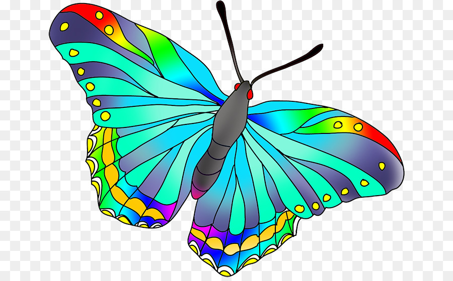 Bướm Vẽ Clip nghệ thuật - bướm