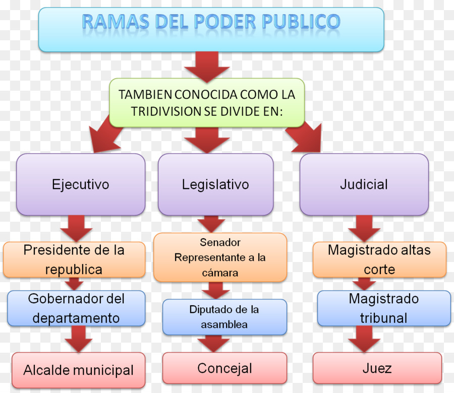 Governo della Colombia, del Ramo Esecutivo del pubblico Potere Giudiziario - i rami di un albero