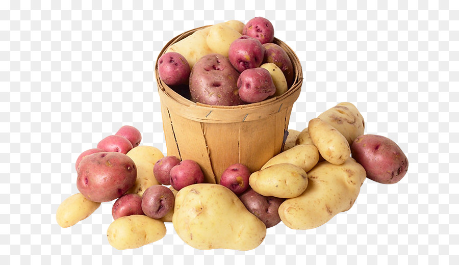 Fingerling patate Yukon Oro di patate Concorrenza Superfood - altri