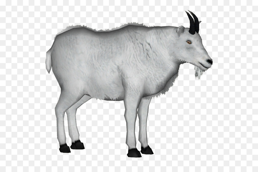 Berg-Ziege-Schaf Feral goat Schnabeltier - Ziege