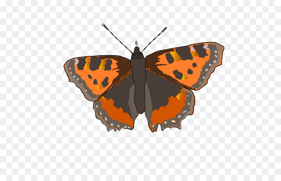 Monarchfalter Pieridae Schmetterlingsflügel Kleine Schildpatt - Schmetterling