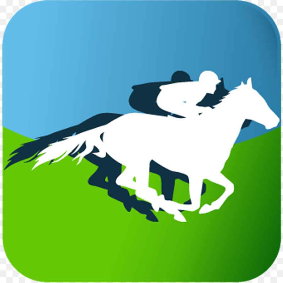 Vollblut Pony Hengst Horse racing, Rennstrecke Los Alamitos - andere