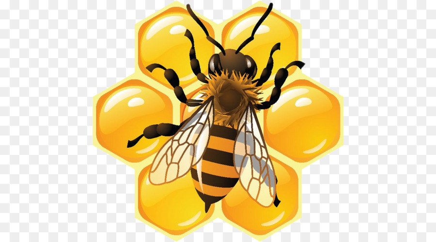 Ong mật Ong thực Phẩm - con ong